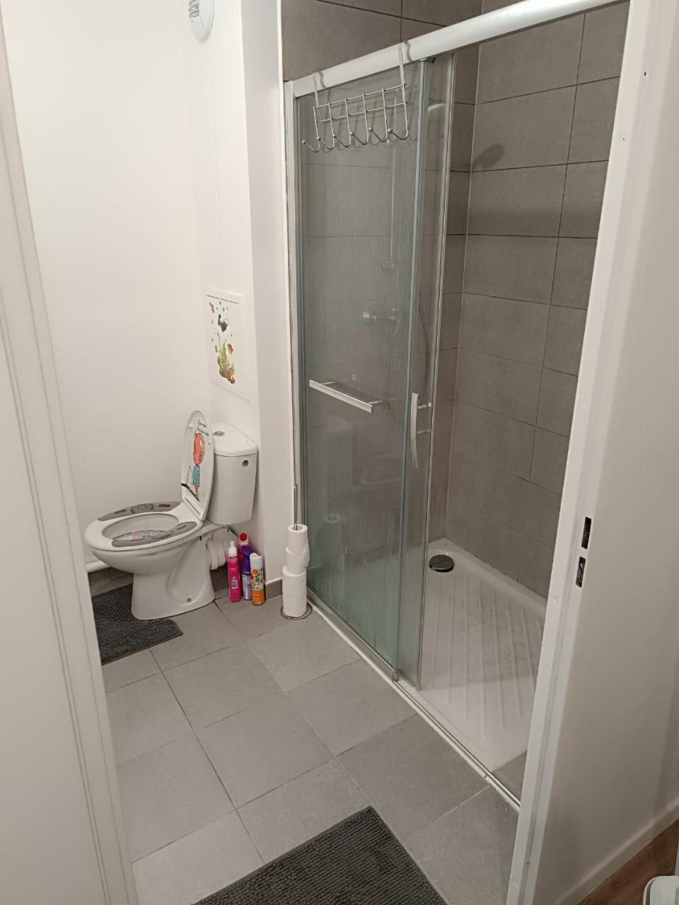 Bel Appartement Disponible Конфлан-Сент-Онорин Экстерьер фото